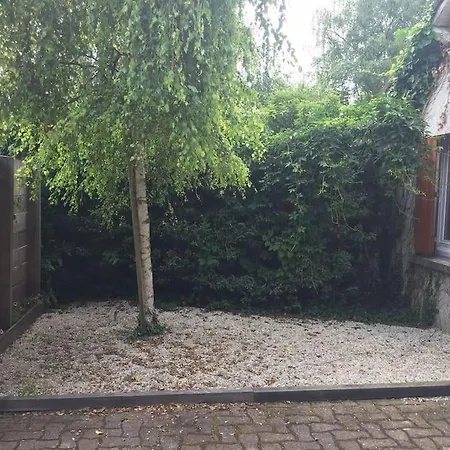 Gite Le 11 Le Merlerault Exterior foto